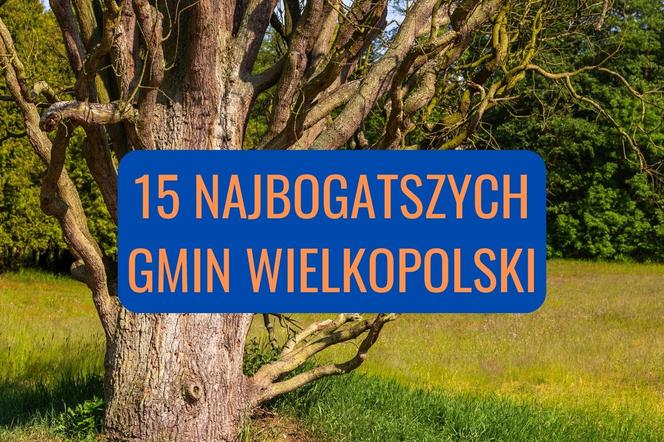 15 najbogatszych gmin w województwie wielkopolskim