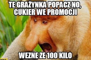 Wincyj cukru - w sklepach go brakuje, w memach pojawiło się go dużo! [MEMY]