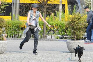 Agnieszka Włodarczyk i pieski