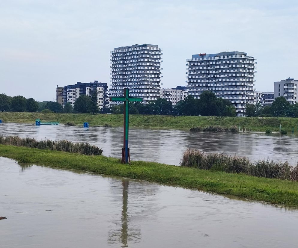 Fala powodziowa we Wrocławiu. Pod wodą są już beach bary i drogi 