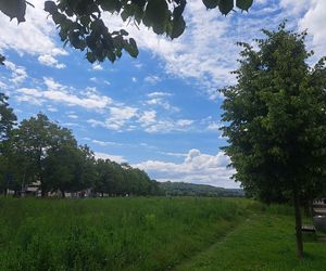Błonia w Krakowie