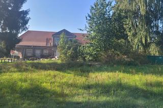 Zapuszczone parki w Olsztynie zyskają nowy blask. Miasto ogłosiło przetargi