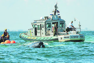 Dramatyczna akcja ratunkowa u wybrzeży NYC. Ratownicy ocalili życie wieloryba