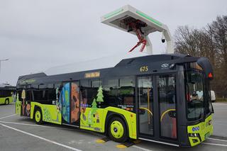 Gorzów: Autobusy elektryczne są nowoczesne, wygodne, sprawne i tańsze w utrzymaniu