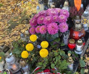 Groby Kilara, Kutza i Cybulskiego