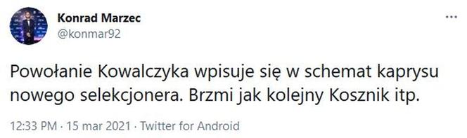 Reakcja internautów na powołania Sousy