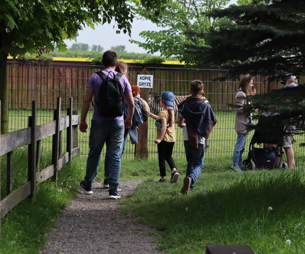 Pomysł na wycieczkę niedaleko Lublina? Zoo w Wojciechowie to idealny kierunek!