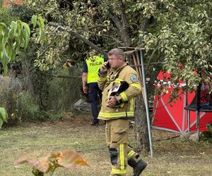 Wypadek awionetki w Krzycku Wielkim