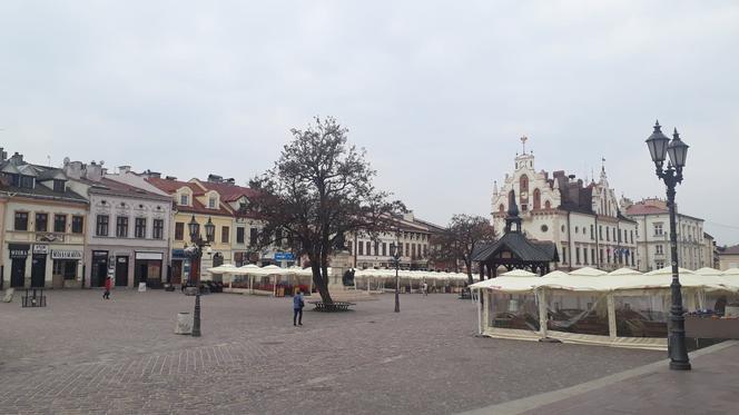 Ogródki na rynku w Rzeszowie już dostępne