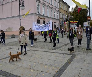 Wielki marsz adopciaków w Radomiu