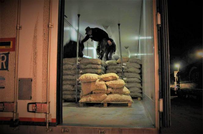 Afgańczyk ukrył się w transporcie ziemniaków. Chciał dotrzeć do Francji