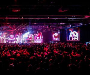Impact Bucharest