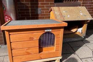 Kot Gacek i jego nowy domek