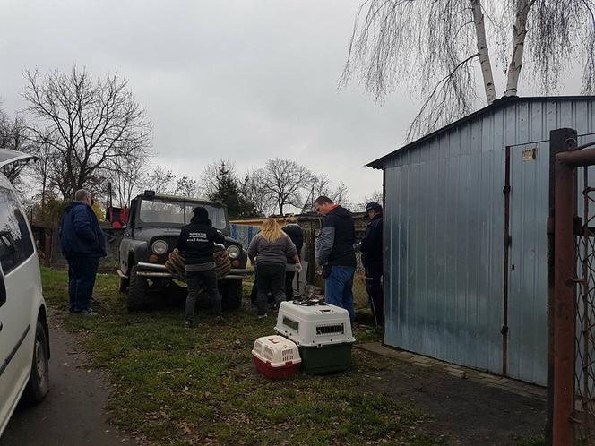 Interwencja OTOZ Animals w Suchym Dębie