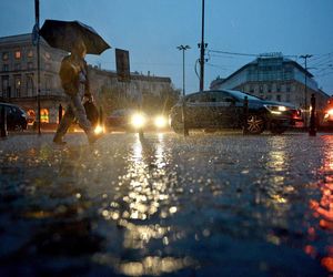 Nawałnice nad Wielkopolską. Strażacy mieli pełne ręce roboty, ale nikt nie ucierpiał