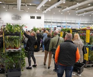 Największy targ roślin doniczkowych ponownie w Lublinie