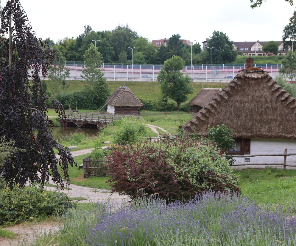 TOP 7 muzeów, które trzeba odwiedzić w woj. lubelskim. Wybrała je AI
