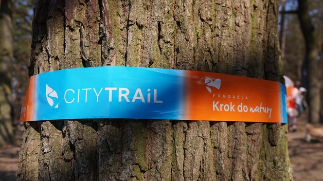 City Trail 2025. Miłośnicy biegania walczyli przy Zalewie Zemborzyckim w Lublinie