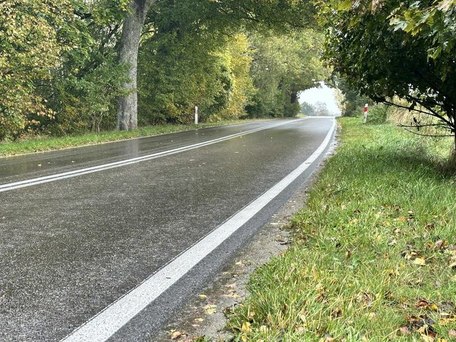 Łebieńska Huta. 10-latek zginął pod kołami pirata drogowego