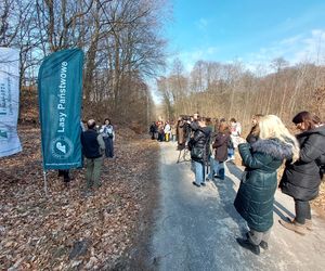 Pierwsza w regionie i trzecia w Polsce.  Otwarto Ścieżkę Terapii Leśnej na elbląskiej Wysoczyźnie