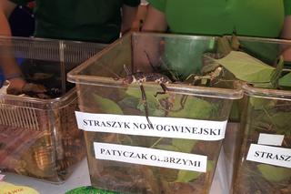 Bydgoszcz na targach turystycznych w Poznaniu