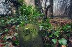 Zabójstwo pastora pod Bolesławcem. W opuszczonym kościele straszy już od prawie 80 lat 