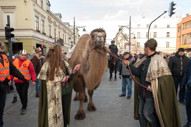 Orszak Trzech Króli 2019 - KONKURS głosuj na wielbłąda. Do kiedy trwa? Jak wziąć udział?