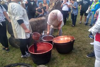 Święto Śliwki, czyli festiwal miłośników zdrowego jedzenia odbył się w Strzelcach Dolnych [ZDJĘCIA, FILM]