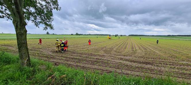Jatwieź Duża. Wypadek: Kierowca renault rozbił się na drzewie [ZDJĘCIA]