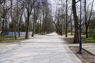 Rewaloryzacja Parku Planty - wiosna 2025