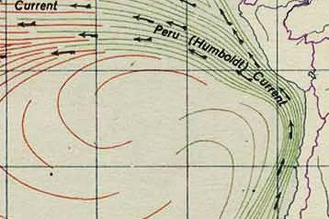 Humboldt_current s