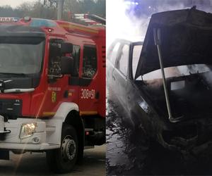 Nocny pożar w Mogilnie. Auto spłonęło doszczętnie [ZDJĘCIA]