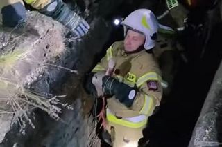 Bocian wpadł do 24-metrowego komina. Strażacy ratowali go 3 godziny [ZDJĘCIA]. 