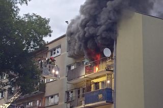 Tragiczny pożar na Kozinach w Łodzi. Jedna osoba nie żyje. Strażacy ratowali psa z balkonu ogarniętego płomieniami