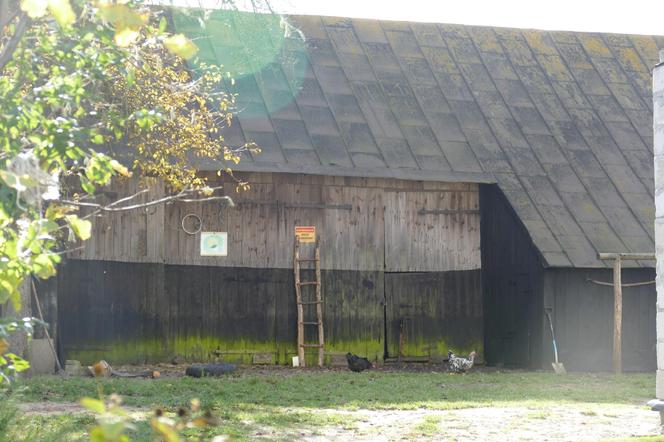 Potworne zabójstwo pod Sieradzem. Wojciech C. udusił swoją matkę