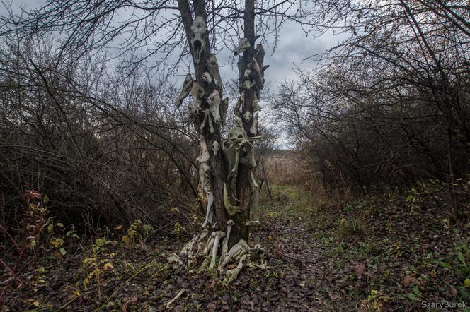 Przerażający totem pod Warszawą