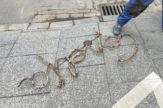 Odnalezione neony w Pawilonie Cepelii - zdjęcia. Trafią do Muzeum Neonów w Warszawie