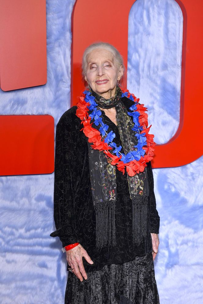 Wieniawa z siostrami, Dankwa z bratem, samotny Stramowski. Zobacz, kto błyszczał na premierze „Lilo i Stitch”