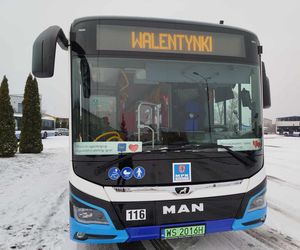 Zakochany autobus linii nr 18 można spotkać na ulicach Siedlec tylko w walentynki 2025!