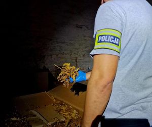 Kalisz. Nielegalna fabryka papierosów w magazynie! Dwie osoby z zarzutami 