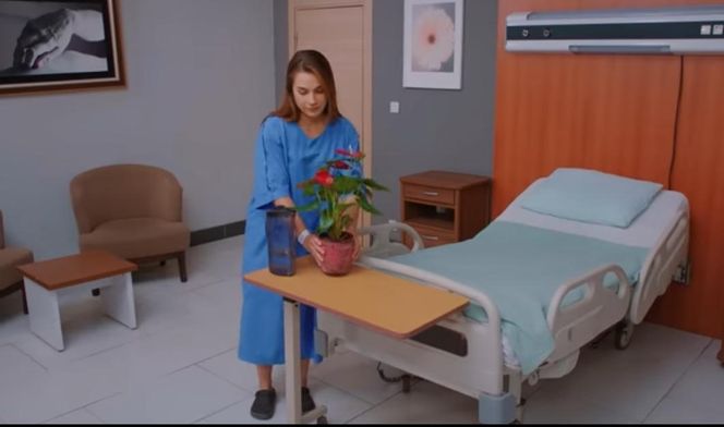 Miłość i nadzieja, odcinek 270: Sila