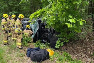 Auto zderzyło się z żubrem. Dwie osoby w szpitalu