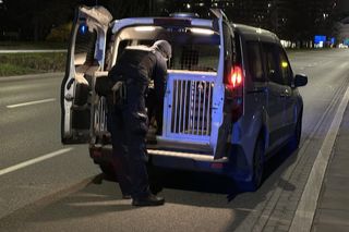 Napadał na seniorki w Warszawie. Wreszcie wpadł w ręce policji 