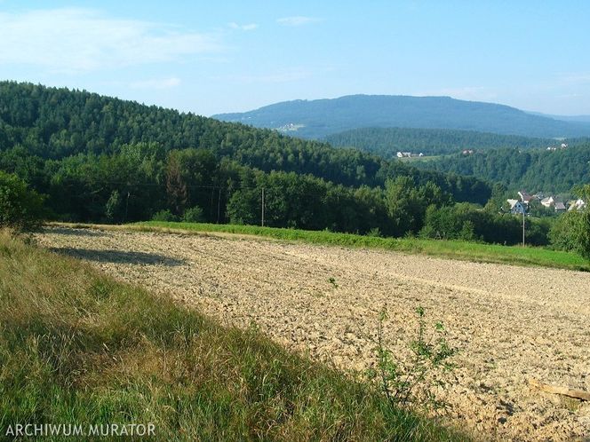 Opłata planistyczna. Kiedy może być pobrana i w jakiej wysokości