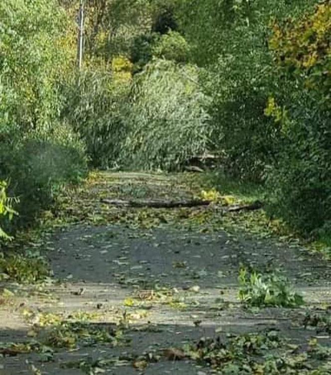 Gwałtowne wichury na Dolnym Śląsku