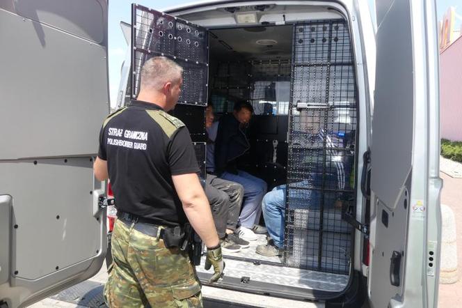 Nielegalnie wwiózł w busie do Polski 31 migrantów. Stanowcza reakcja Straży Granicznej