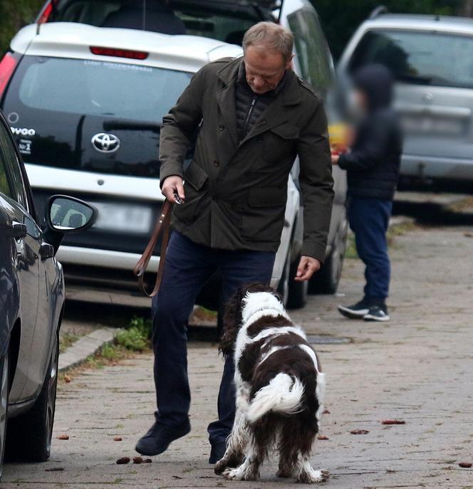 Donald Tusk na spacerze z Portosem