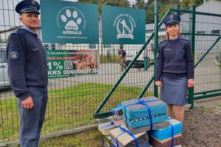 Więźniowie uszyli poduszki dla zwierząt z bydgoskiego schroniska