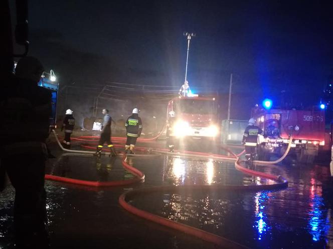 Pożar w zakładzie utylizacji odpadów pochodzenia zwierzęcego