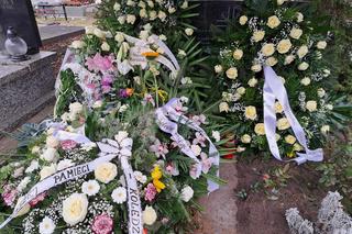 Grób Marcina Barańskiego, Pietrka z Pana Kleksa